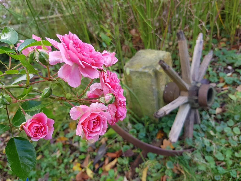 Pension Alte Schmiede Zabeltitz ภายนอก รูปภาพ